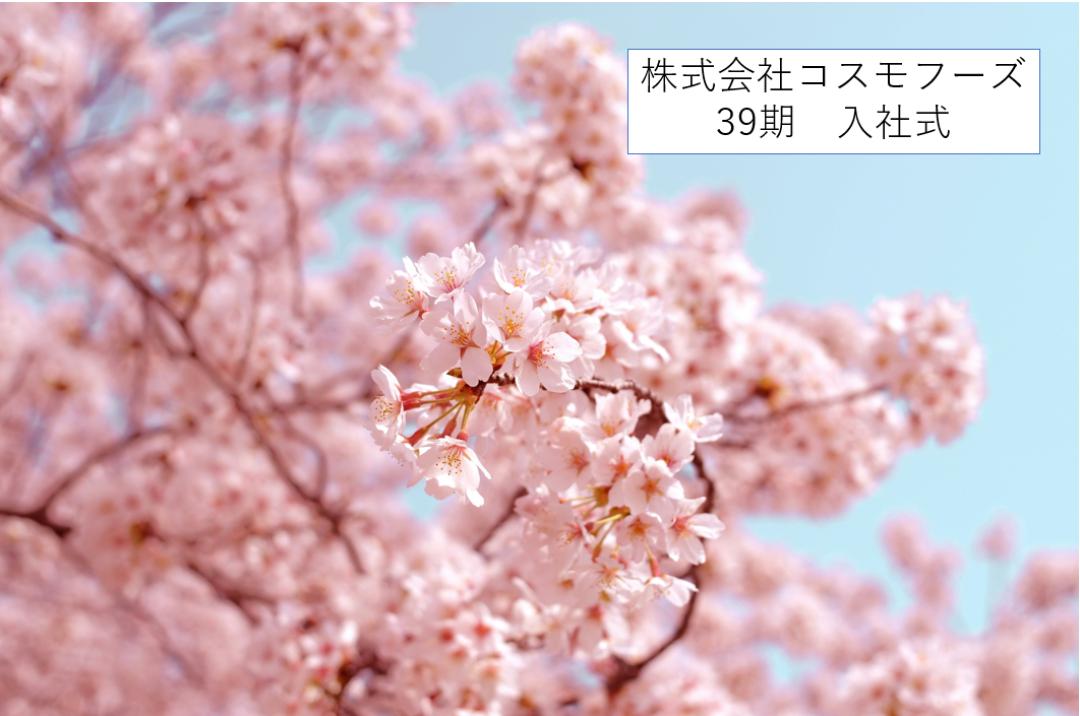 株式会社コスモフーズ　39期　入社式サムネイル